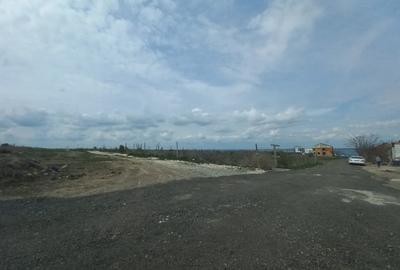 Teren Construcții intravilan de 500 mp, în Palazu Mare - 2