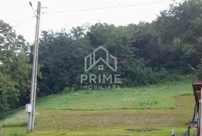 Teren de 2480 mp, în Fața - 5