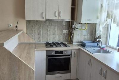Apartament cu 2 camere în Valea Borcutului - 9