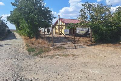 Vând teren intravilan 10.000mp +casa+anexe(spatii prodictie-depozitare) - 10