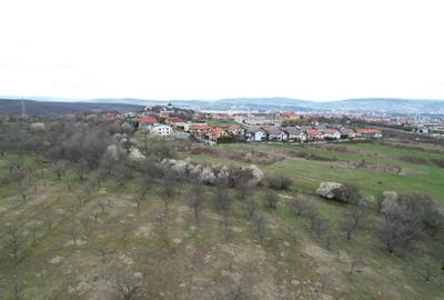 Teren cu PUZ aprobat pe str. Dianei - 6