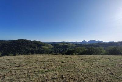 Spațiu comercial, în Râmeț - 6