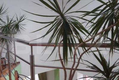 Casa mobilata lux, cu 4 camere in Sacele - Brasov - 1