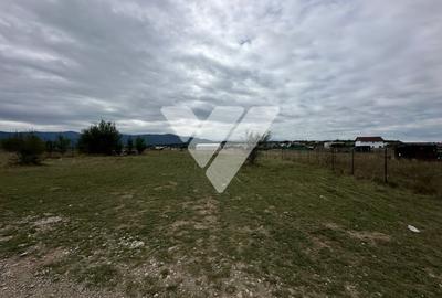 Tren intravilan cu autorizatie de constructie 417 mp - zona Cisnadie - 3