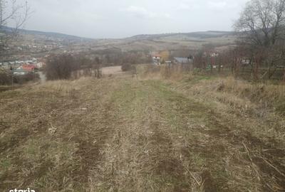 Teren de 1800 mp, în Baciu - 1