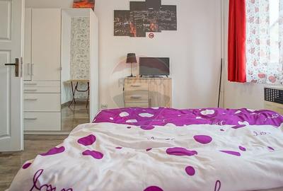 Garsonieră decomandată în Noua - 3