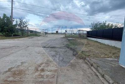 Spațiu comercial, de 880 mp, în Muntenii de Jos - 16