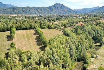 Teren intravilan, priveliste deosebita - 2