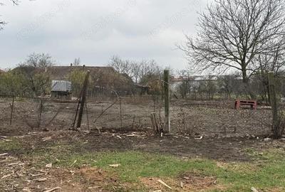 Teren Intravilan Becicherecu Mic 598mp,Utilitatile In Fata Parcelei,Asflat - 1