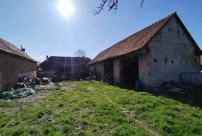 Casa tradi?ionala cu 2 corpuri, grajd, ?ura ?i 1200 mp teren Lisa, Bra?ov ideal turism rural - 9