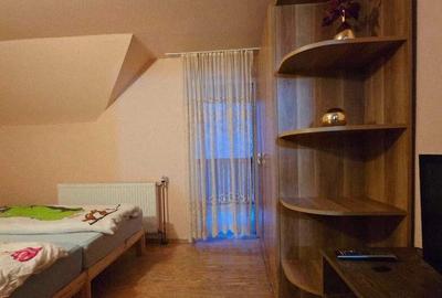 Casa/Pensiune,doua imobile intr-unul singur de vanzare, Valea Bratcu - 7