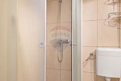 Apartament 1 camera de inchiriat zona Banul Maracine - 9