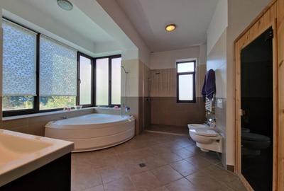 De vanzare! Vila (D+P+1E+2R) cu terasa panoramica in Mogosoaia - 19