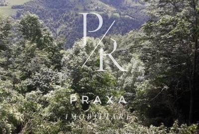 Teren Construcții extravilan de 10000 mp, în Măguri-Răcătău - 17