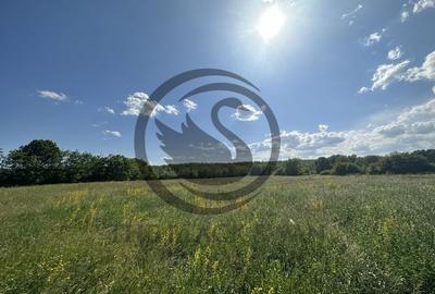 Teren Vanzare 11.000 MP Ghirdoveni | Comision 0% - 20