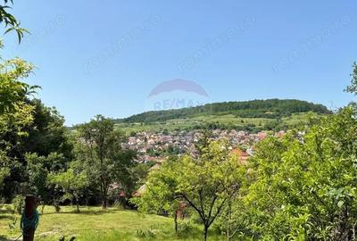 Casă cu 5 camere cu Teren 741 Mp în Mediaș - 11