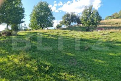 Teren de 2500 mp, în Central - 3