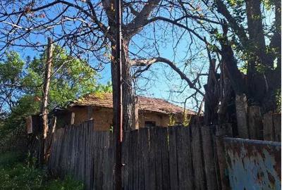 Cota de 1/2 din casa si teren- sat Poroini?a, Comuna Rogova, Jud Mehedinti; - 3