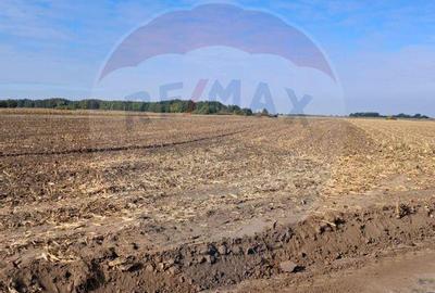 Teren de 21177 mp, în Santăul Mic - 3