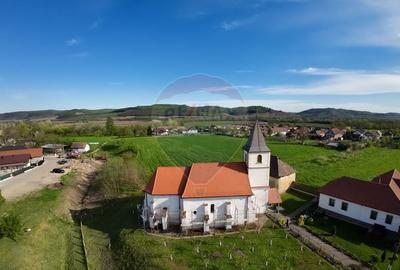 Teren agricol intravilan de 7342 mp, în Alma - 3