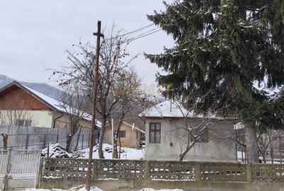 Casă individuală cu 2 camere cu Teren 3300 Mp în Bobolia - 1