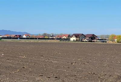 50.000mp teren intravilan, Clasa Master,  in Brasov spre Stupini - 5