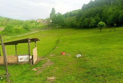 Teren de 5500 mp, în Drăganu - 3