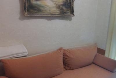 Apartament cu 4 camere decomandat, mobilat în Balada - 3