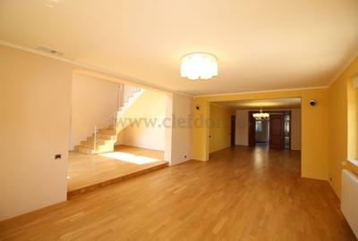 Vila Individuala de Inchiriat in Zona Iancu Nicolae - 2