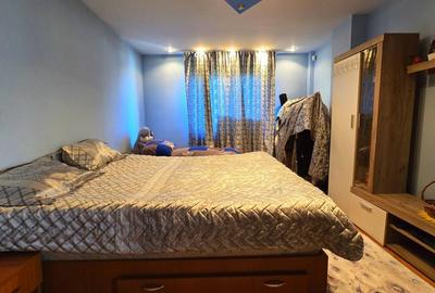 Vila ta aproape de natura – 8 camere, Lacul Pasarea - 69