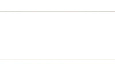 Apartament cu 4 camere decomandat în Dosu Bricii - 4