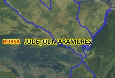 Teren extravilan de 5300000 mp, în Borșa