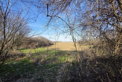 Spațiu comercial, în Lipia - 2