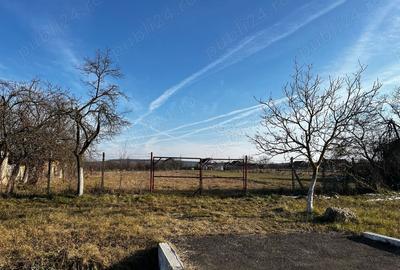 Casă cu 3 camere cu Teren 3000 Mp în Alioș - 4