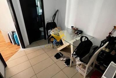 1 camera, Intre Lacuri, garaj, zona Iulius Mall, FSEGA, Profi - 5