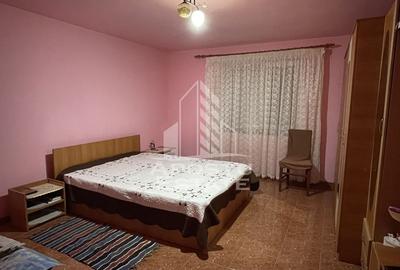 Casa renovata Berecuta comuna Birda asfalt - 6