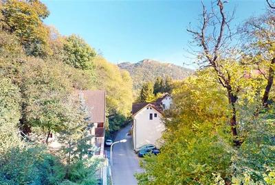 FILM&3D! Resedinta notabila, in pretiosul areal:Drumul Poienii,Centru Istoric Me - 13