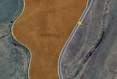 Teren Construcții extravilan de 112900 mp, în Săcălaz - 4