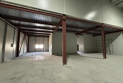 Inchiriere depozit/hala/spatiu industrial Theodor Pallady - Drumul Intre Tarlale - 10