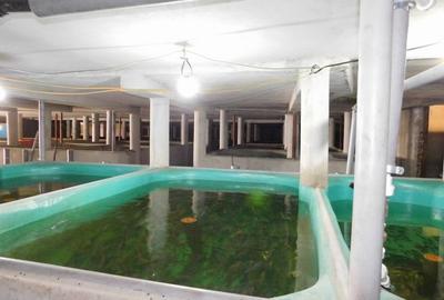 Spațiu industrial, 2625 mp în Sud
