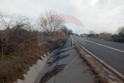 Teren 2,301mp Carcea / Aleea Tarlaua 37 Parcela 63 Teren 2,301mp Carcea / Aleea Tarlaua 37 Parcela 63 - 5