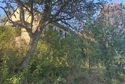 Casă cu 4 camere cu Teren 450 Mp în Est - 4