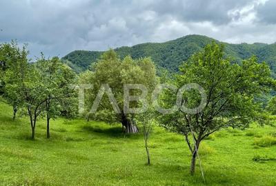 Teren intravilan de vanzare in Martinia de sus - 3
