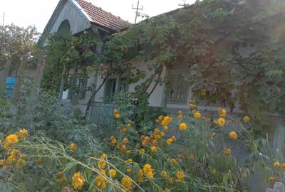 Vand casa Rebricea Jud Vaslui - 1
