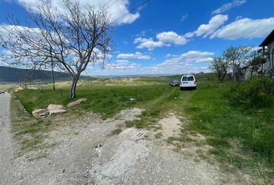 Teren intravilan de 6301 mp, în Bălnaca - 3