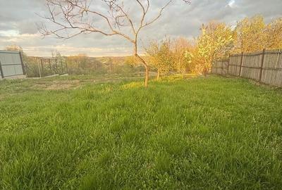 Teren de 4000 mp, în Predeal - 10