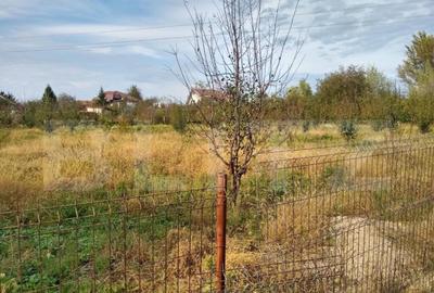 Teren intravilan de vanzare, 1400 mp, zona Bercu Rosu - 14