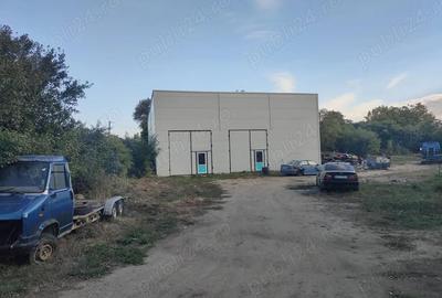 Casa cu teren 2200 mp si hala noua de 154 mp in localitatea Bodrogu Nou la 10 km de Arad - 4