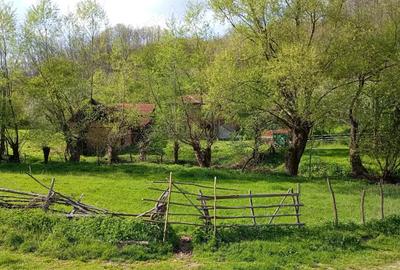 Casa de vanzare - 3