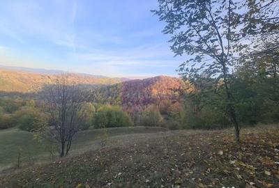Teren de 3092 mp, în Telega - 11